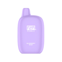 Flum Pebble 6000 Blueberry Mint - Discounts Vape