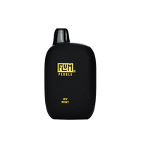 Flum Pebble 6000 Icy Mint - Discounts Vape