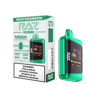 Raz DC25000 Wintergreen - Discounts Vape