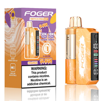 Foger Switch Pro Kit 30k Orange Slush Disposable Vape Box with 30,000 puffs and rechargeable battery
